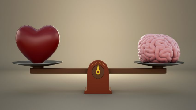 Pentingnya Kecerdasan Emosional Yang Lebih Diutamakan Dari IQ Kita!
